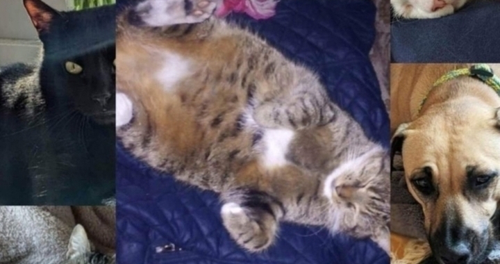 Zdjęcie osoby potrzbującej