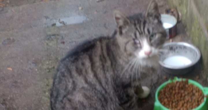 Zdjęcie osoby potrzbującej