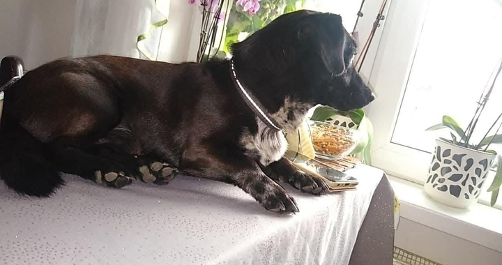 Zdjęcie osoby potrzbującej