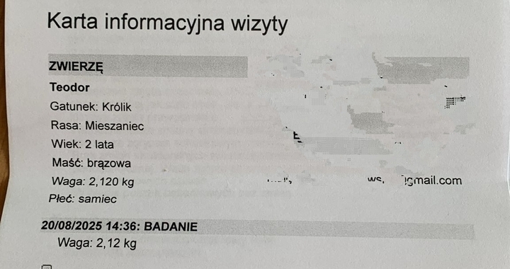 Zdjęcie osoby potrzbującej