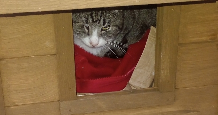 Zdjęcie osoby potrzbującej