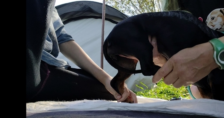 Zdjęcie osoby potrzbującej