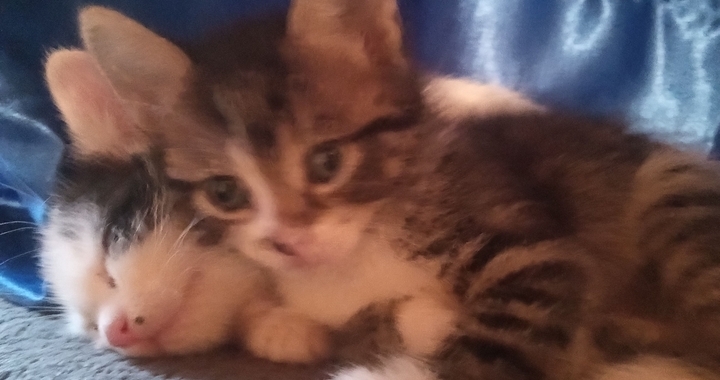 Zdjęcie osoby potrzbującej