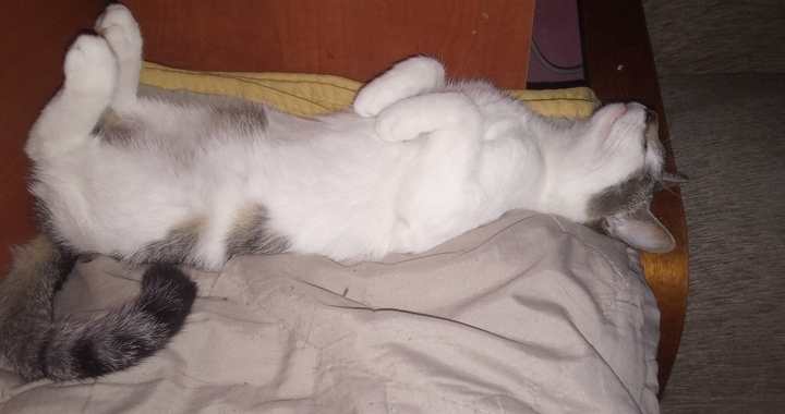 Zdjęcie osoby potrzbującej