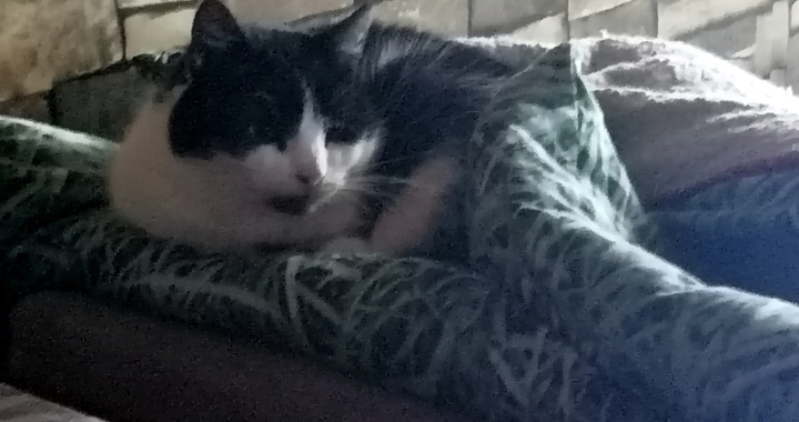 Zdjęcie osoby potrzbującej