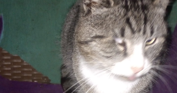 Zdjęcie osoby potrzbującej