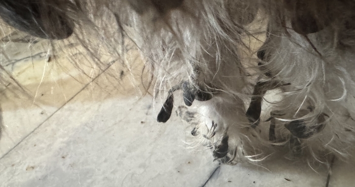 Zdjęcie osoby potrzbującej