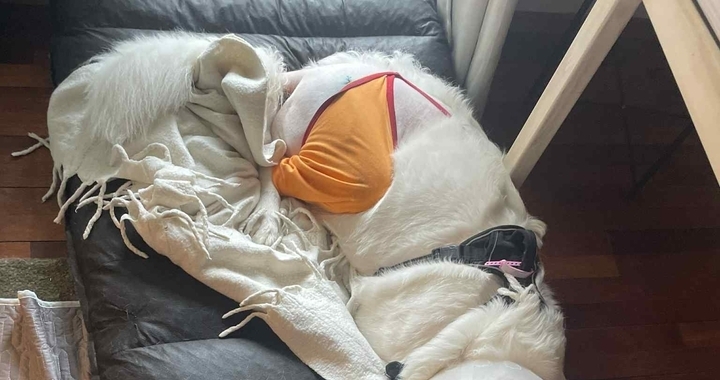 Zdjęcie osoby potrzbującej