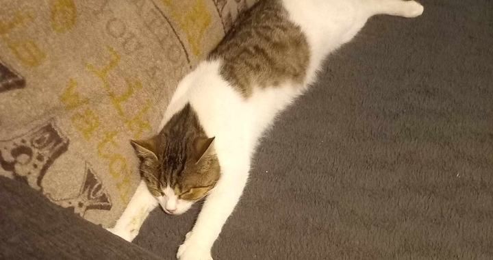 Zdjęcie osoby potrzbującej