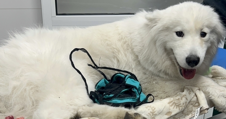 Zdjęcie osoby potrzbującej