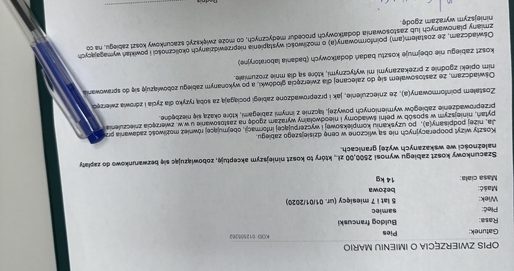Zdjęcie osoby potrzbującej