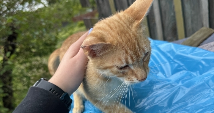 Zdjęcie osoby potrzbującej