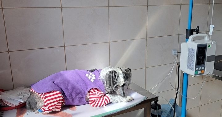 Zdjęcie osoby potrzbującej