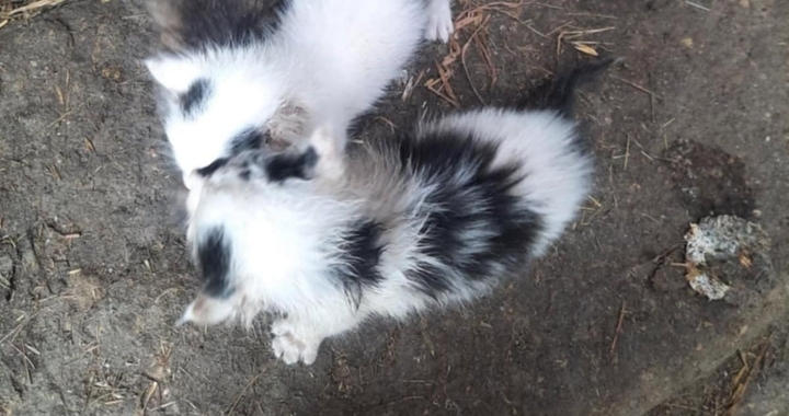 Zdjęcie osoby potrzbującej