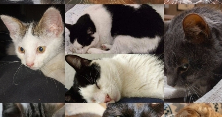 Zdjęcie osoby potrzbującej