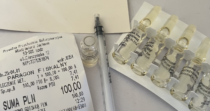 Zdjęcie osoby potrzbującej