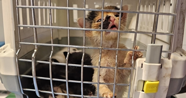 Zdjęcie osoby potrzbującej