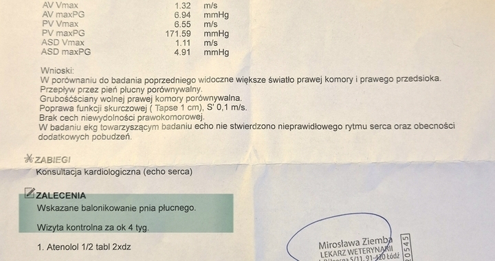 Zdjęcie osoby potrzbującej