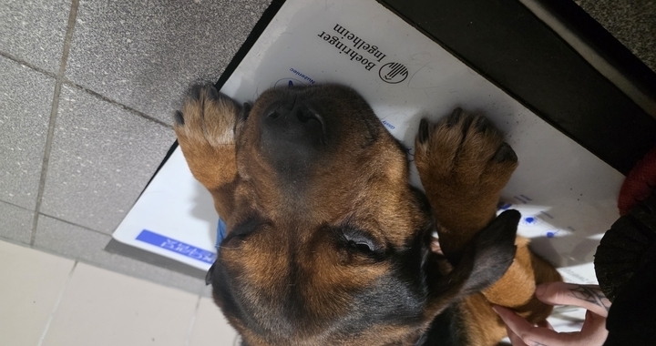 Zdjęcie osoby potrzbującej