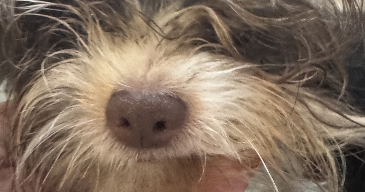 Zdjęcie osoby potrzbującej