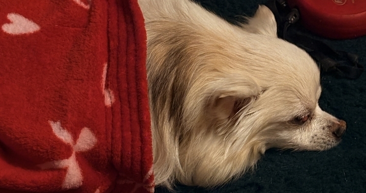 Zdjęcie osoby potrzbującej