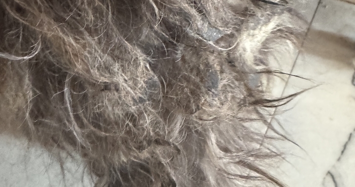 Zdjęcie osoby potrzbującej