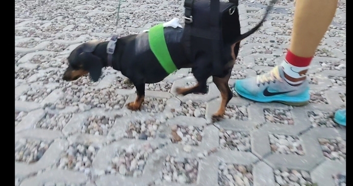 Zdjęcie osoby potrzbującej