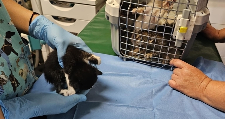 Zdjęcie osoby potrzbującej