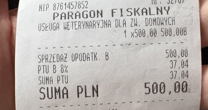 Zdjęcie osoby potrzbującej