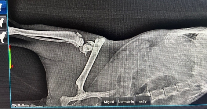 Zdjęcie osoby potrzbującej
