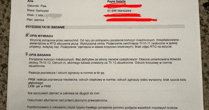 Zdjęcie osoby potrzbującej