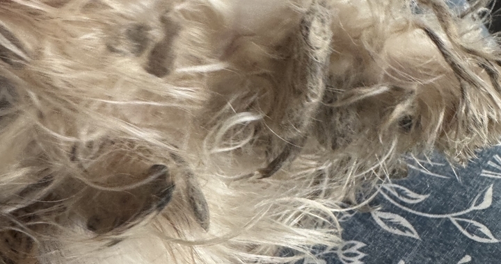 Zdjęcie osoby potrzbującej