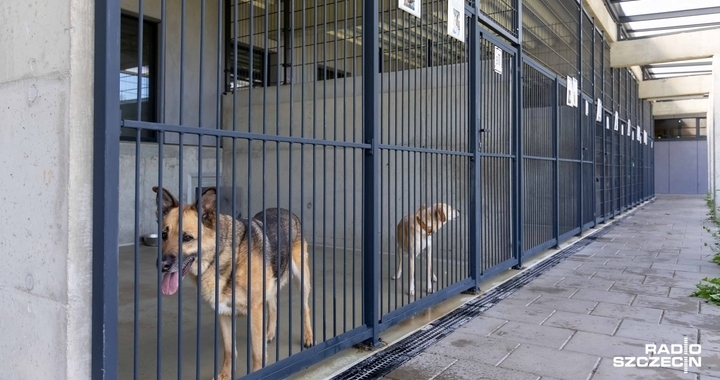 Zdjęcie osoby potrzbującej