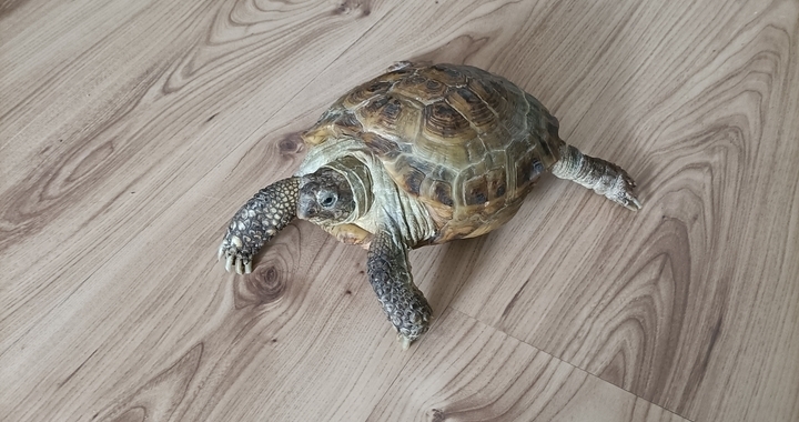 Zdjęcie osoby potrzbującej