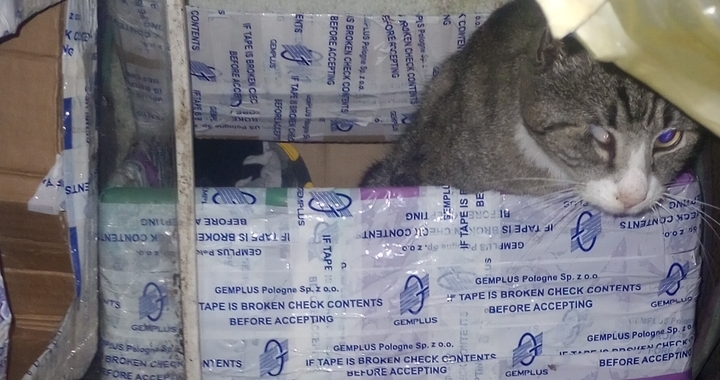 Zdjęcie osoby potrzbującej