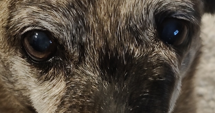 Zdjęcie osoby potrzbującej