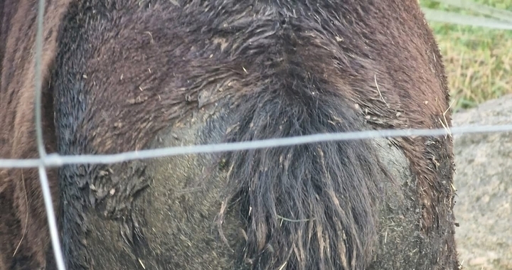 Zdjęcie osoby potrzbującej