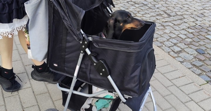 Zdjęcie osoby potrzbującej