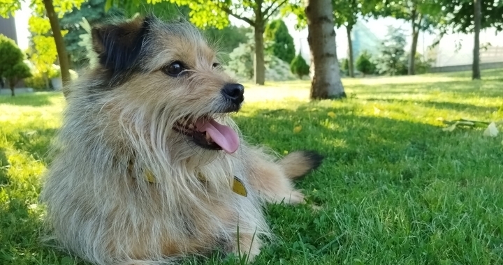 Zdjęcie osoby potrzbującej