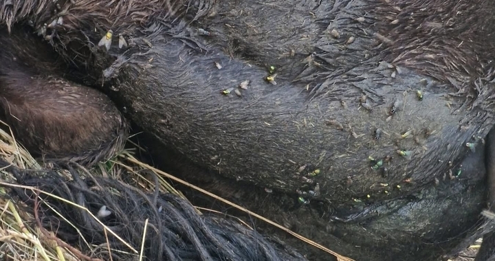 Zdjęcie osoby potrzbującej