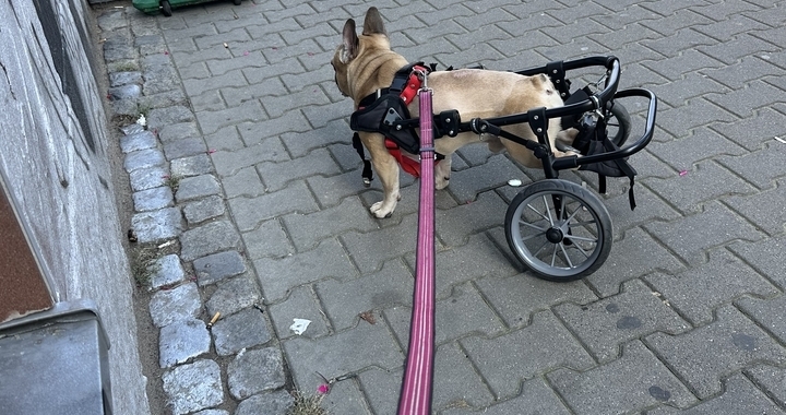 Zdjęcie osoby potrzbującej