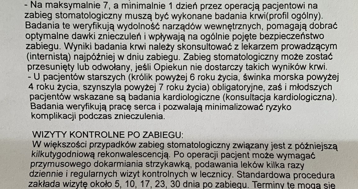 Zdjęcie osoby potrzbującej