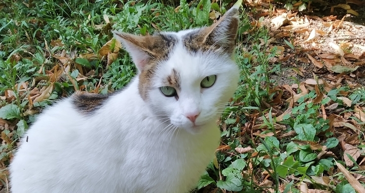 Zdjęcie osoby potrzbującej