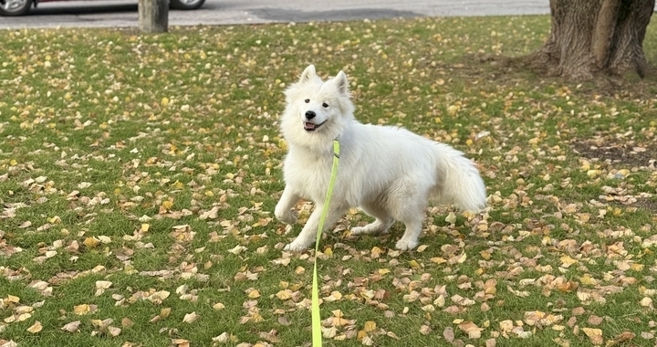Zdjęcie osoby potrzbującej