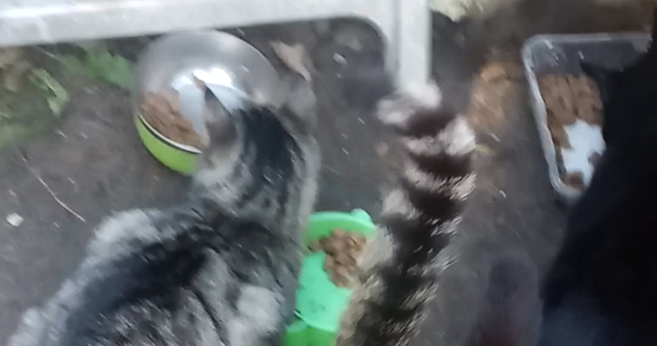 Zdjęcie osoby potrzbującej