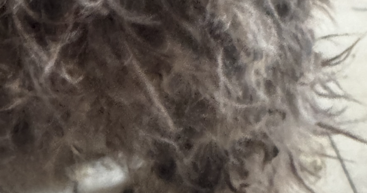 Zdjęcie osoby potrzbującej