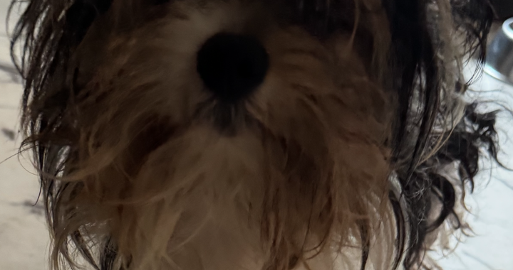 Zdjęcie osoby potrzbującej