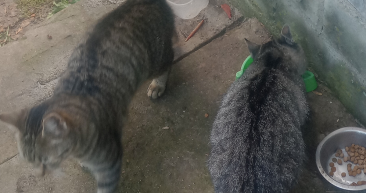 Zdjęcie osoby potrzbującej