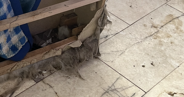 Zdjęcie osoby potrzbującej