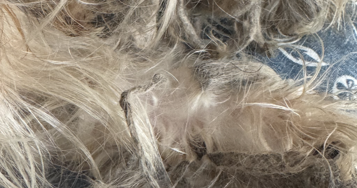 Zdjęcie osoby potrzbującej